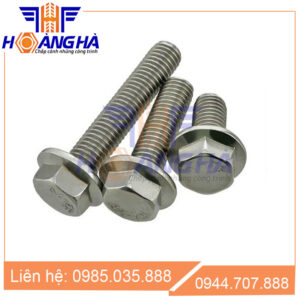 Bu lông inox liền long đen DIN 6921