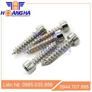 Vít gỗ đầu lục giác chìm inox DIN 912