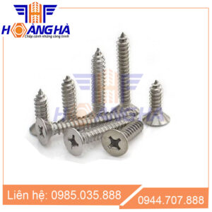 Vít gỗ đầu bằng inox DIN 7982C