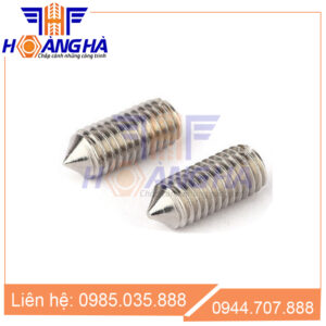 Vít trí xẻ rãnh đầu nhọn DIN553