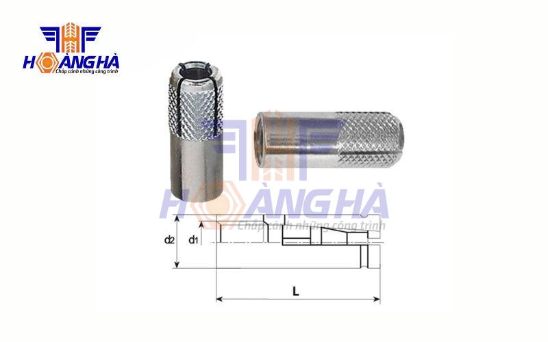 Khám phá chi tiết cấu tạo của tắc kê đạn