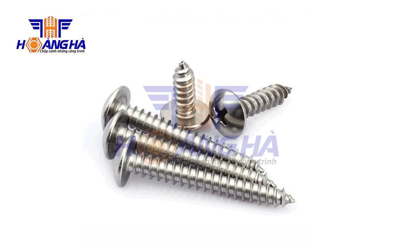 Vít đầu dù inox 316