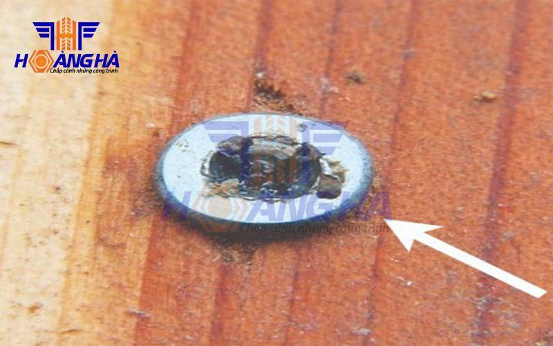 Cách nhận biết sớm ốc lục giác có dấu hiệu toét