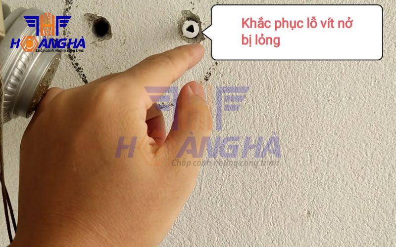 Nguyên nhân khiến tắc kê bị lỏng