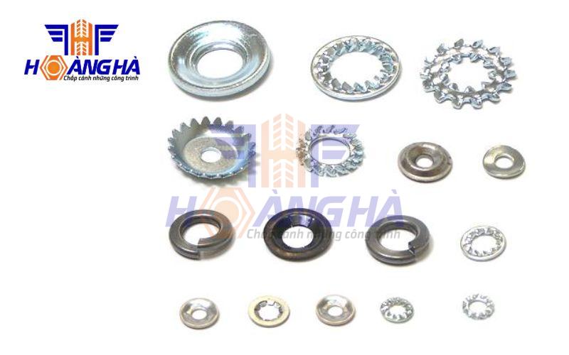 Tìm hiểu long đền gai và lưu ý khi sử dụng