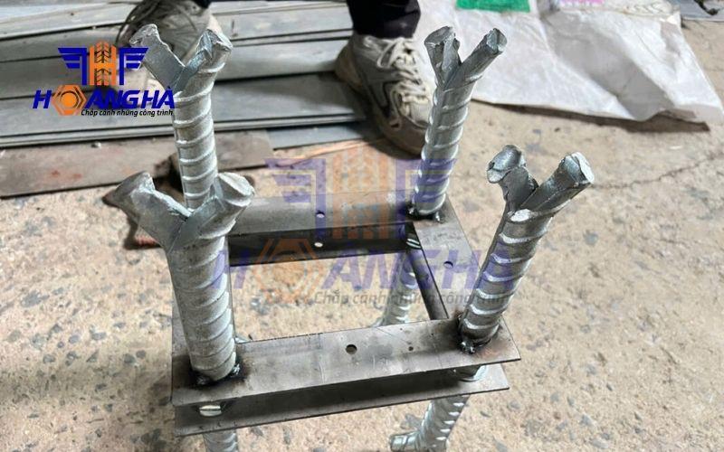 Bulong đuôi cá có nhiều kích thức khác nhau